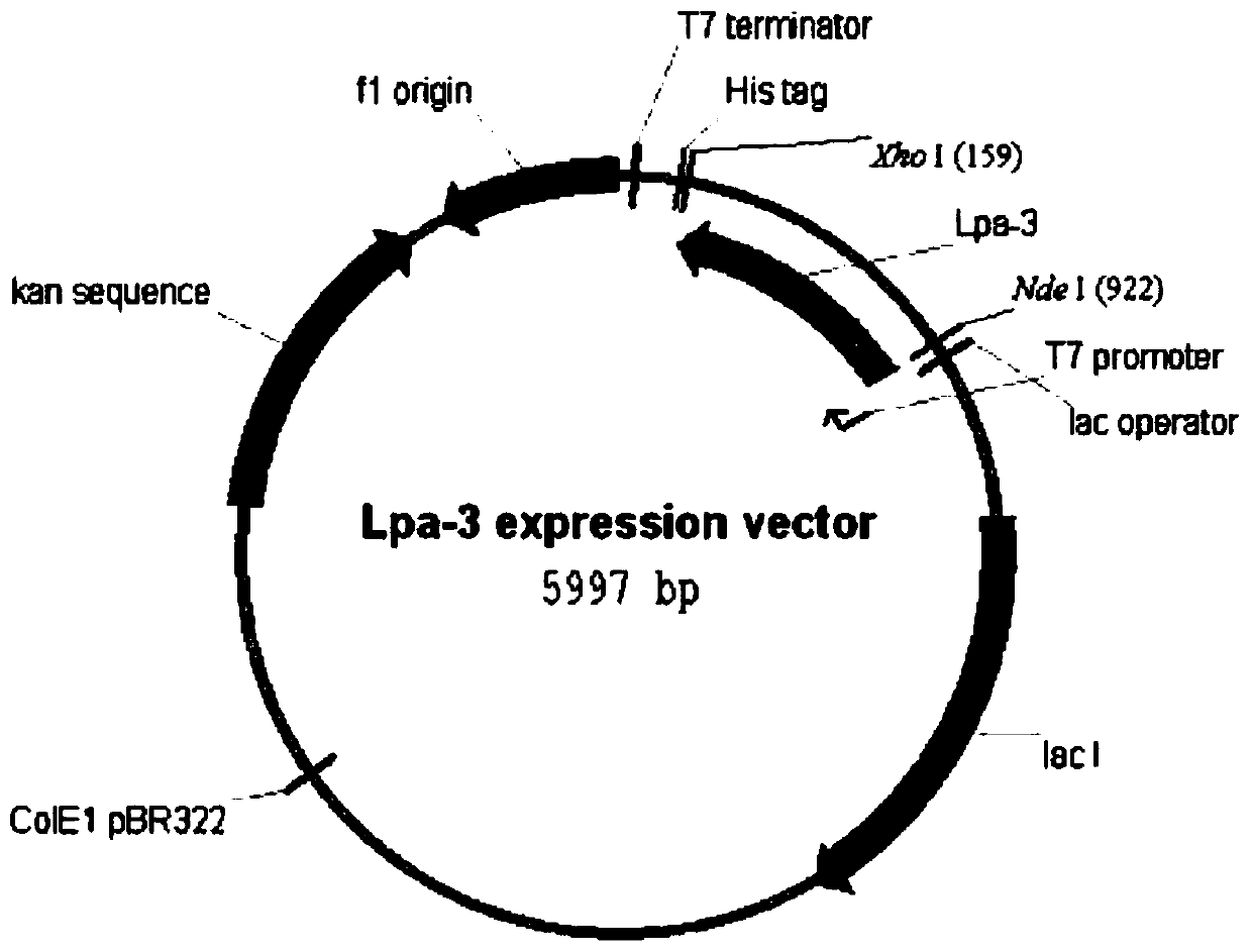 Method for preparing S-3-dimethylamino-1-(2-thienyl)-1-propanol through biocatalysis