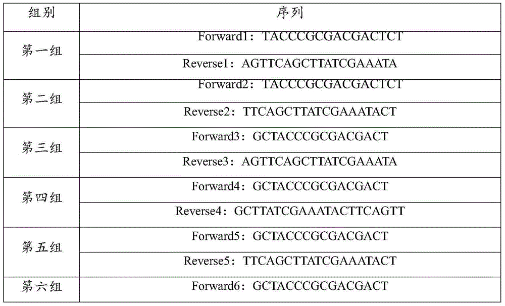 Cervus nippon PRDX4 gene, cloning method thereof and encoding protein