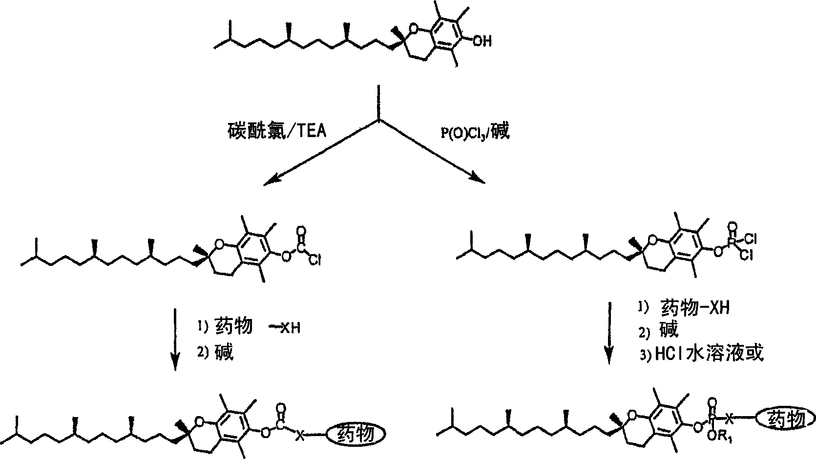 Tocopherol-modified therapeutic drug compounds