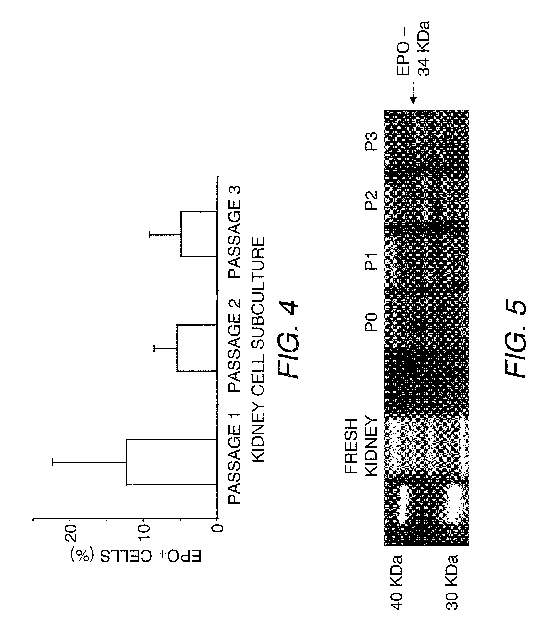 Kidney structures and methods of forming the same