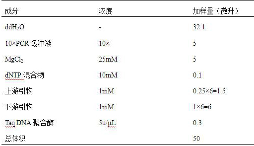 A liquid chip for detecting Bacillus cereus and its application