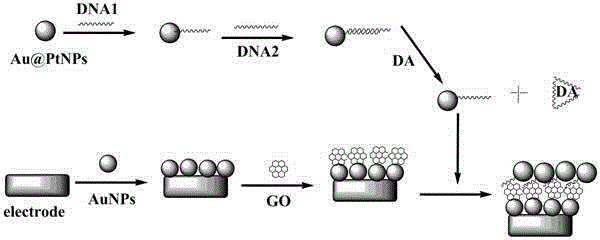 Method for detecting dopamine on basis of nanoparticle label oxidation-reduction cycle