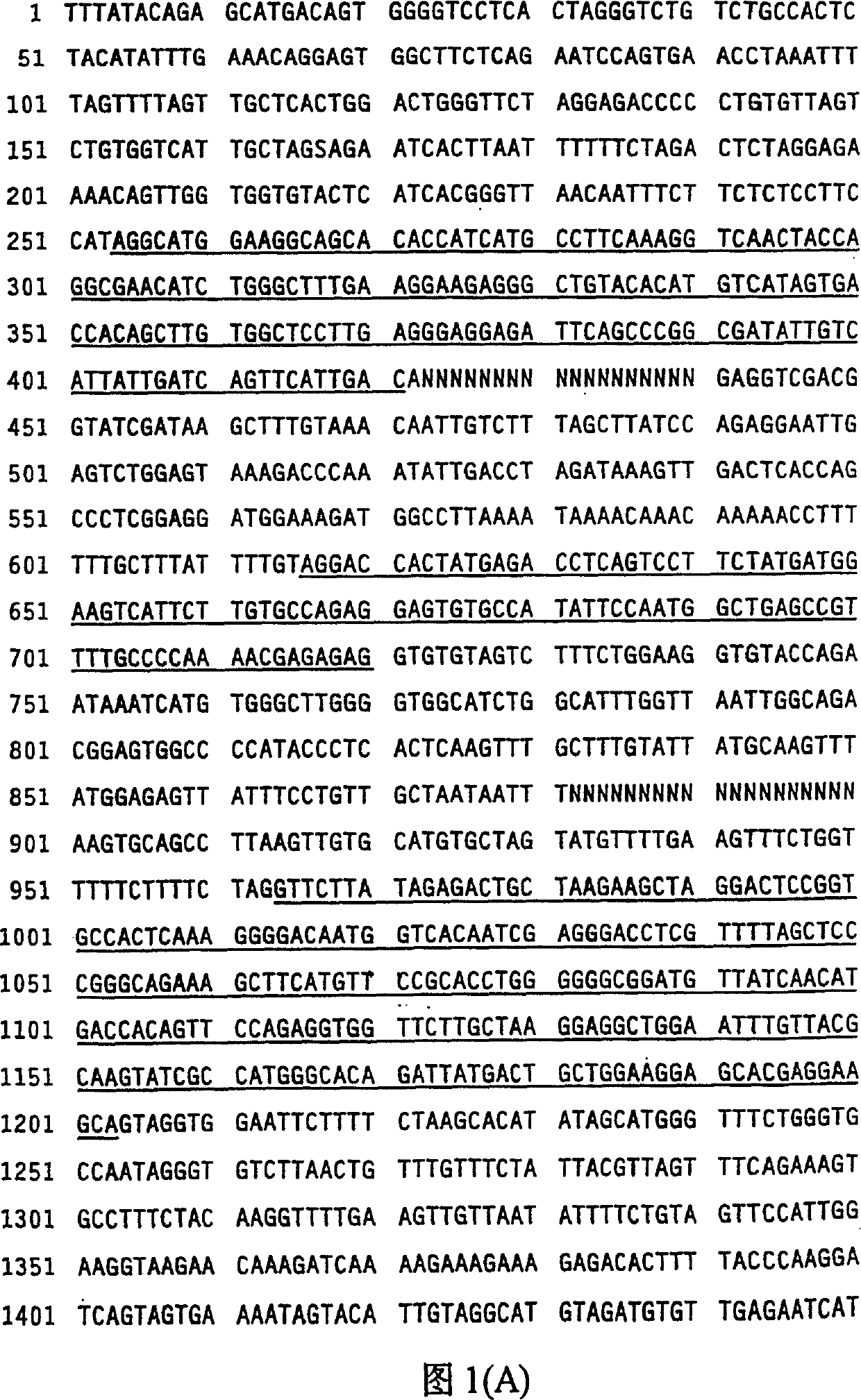 Method of detecting 5'-methioadenosine phosphorylase defect type mammarian cell