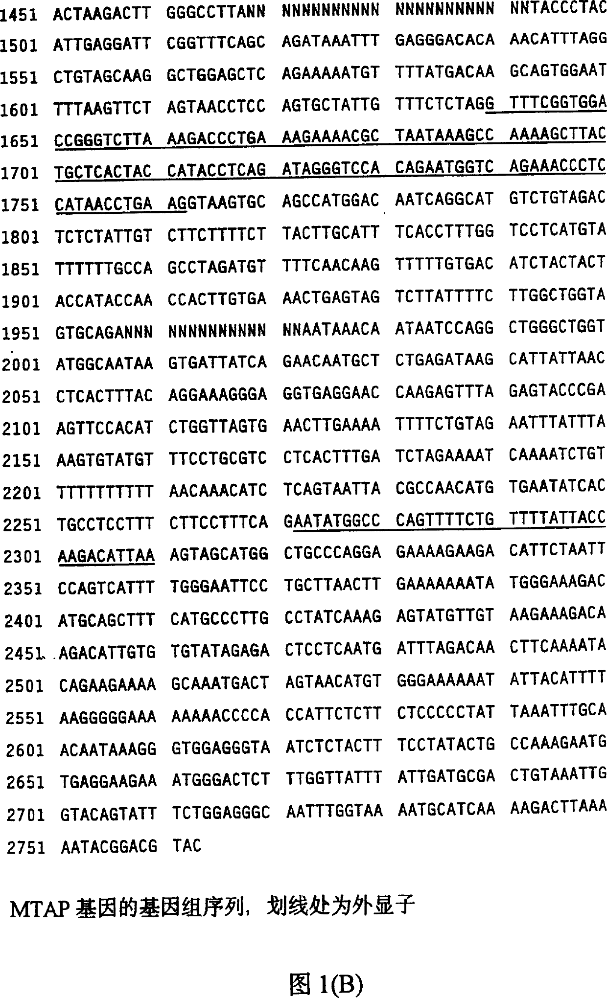 Method of detecting 5'-methioadenosine phosphorylase defect type mammarian cell