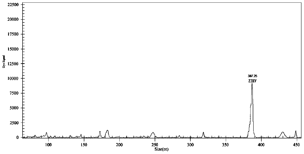 Rapid detecting primer set and kit of GeXP for detecting four kinds of flaviviruses simultaneously and application of rapid detecting kit