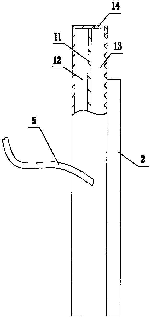 External application device for mammary gland