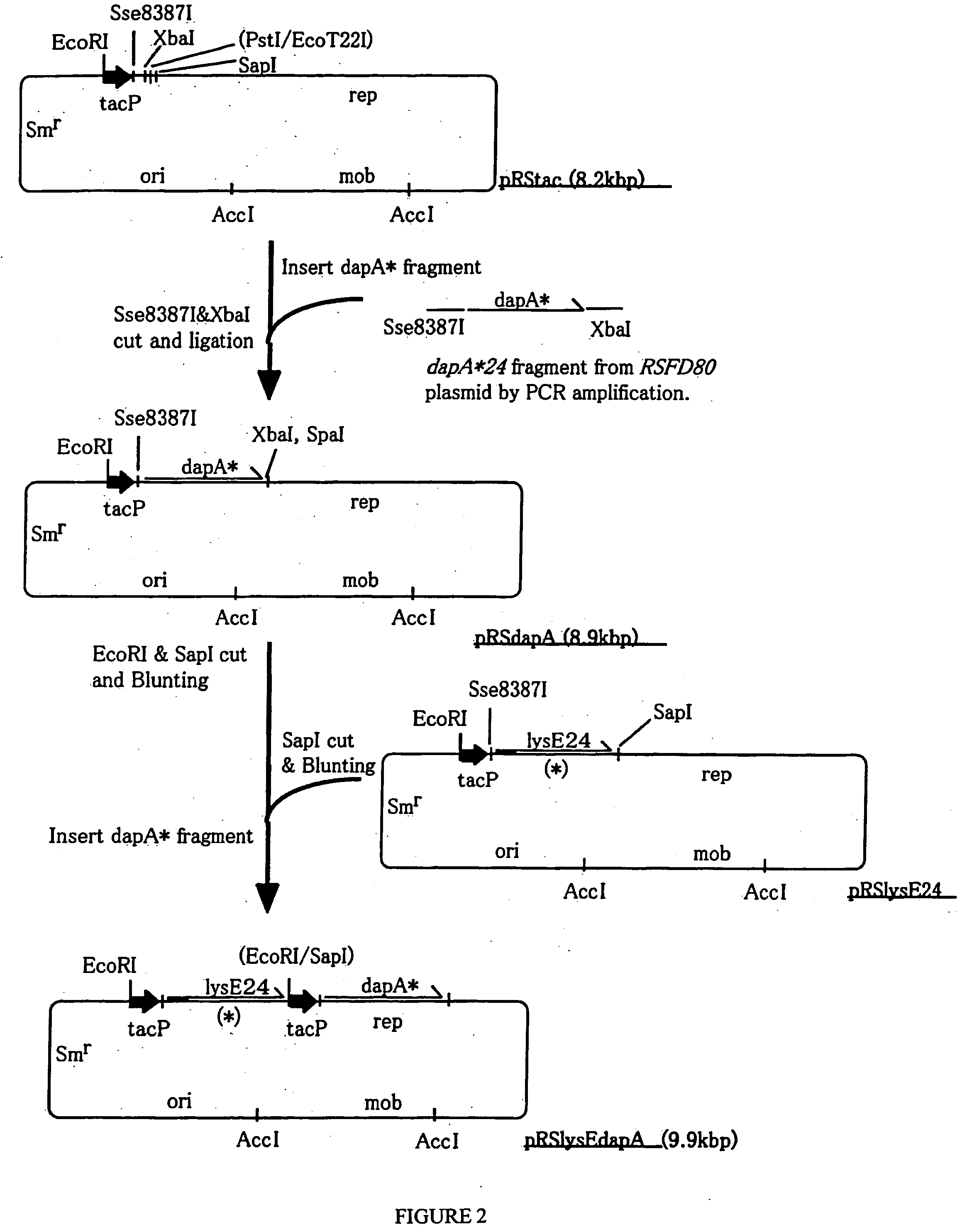 Method for producing L-amino acid using methylotroph