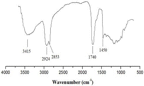 Low hydroxyl value tung oil polyol and preparation method thereof