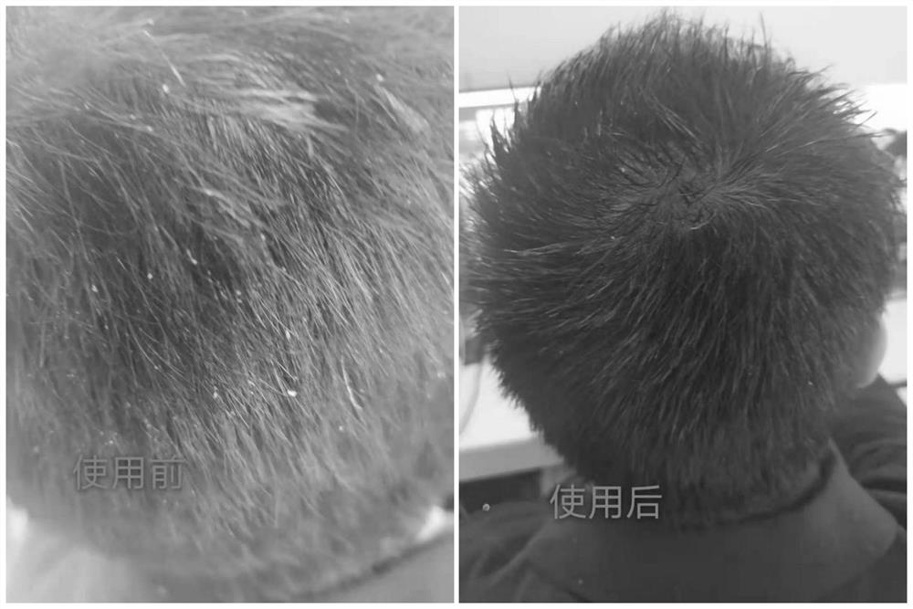 Hair-strengthening hair-nourishing shaping agent and preparation method thereof