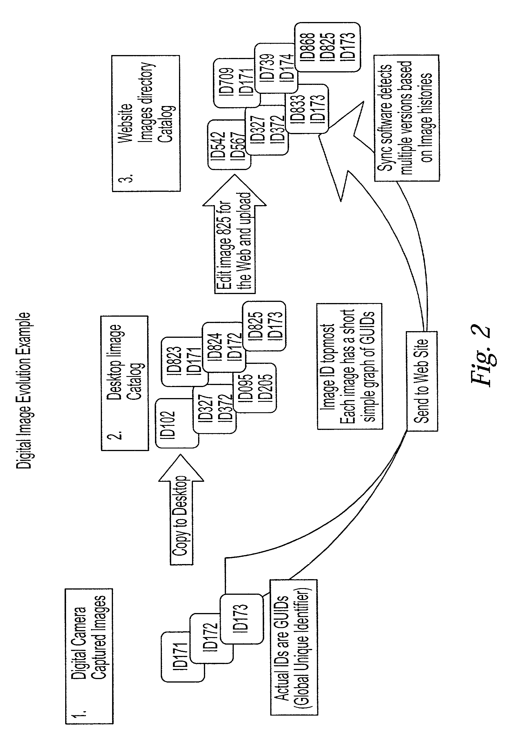Method and apparatus for synchronizing multiple versions of digital data