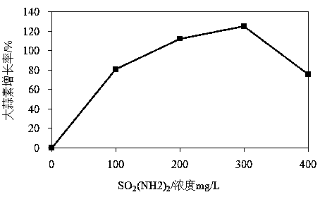 Method for producing allicin by using allium sativum callus