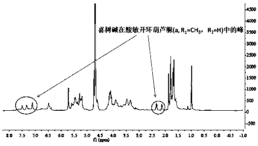 Clathrate compound of camptothecin and acid-sensitive open-loop cucurbituril