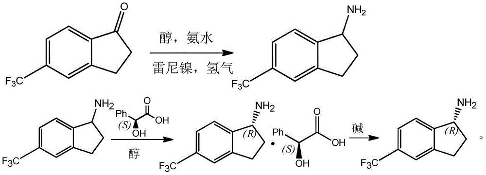 Preparation method for R-5-trifluoromethyl-1-aminoindane