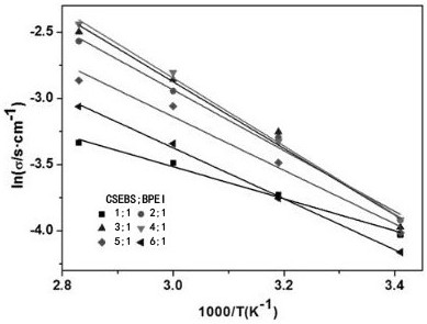 Preparation method of anion exchange membrane for alkaline fuel cell and anion exchange membrane