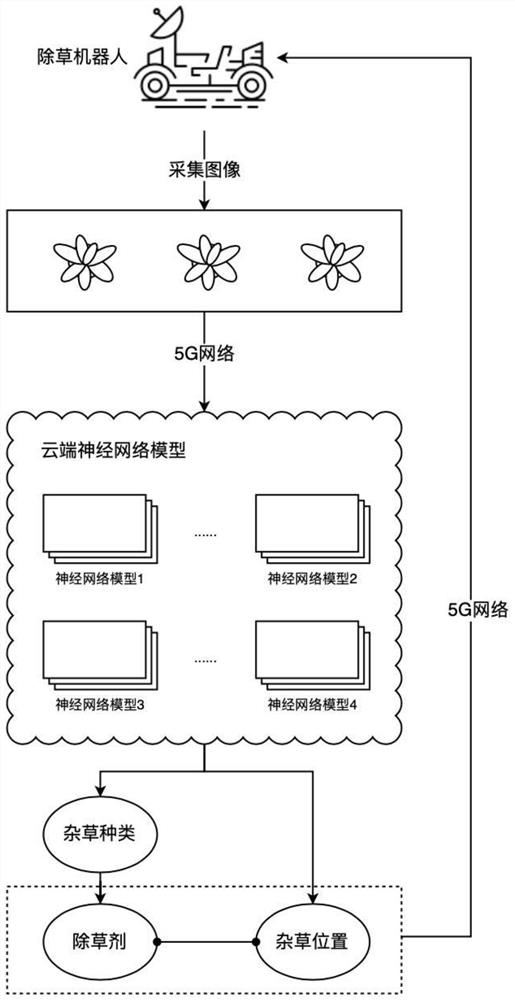 A precise weeding method for lawn and grass based on cloud-based herbicide spectrum