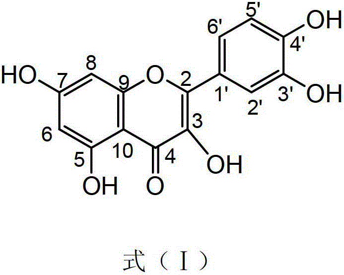 Application of aspergillus awamori in preparation of quercetin by fermenting lichee peel