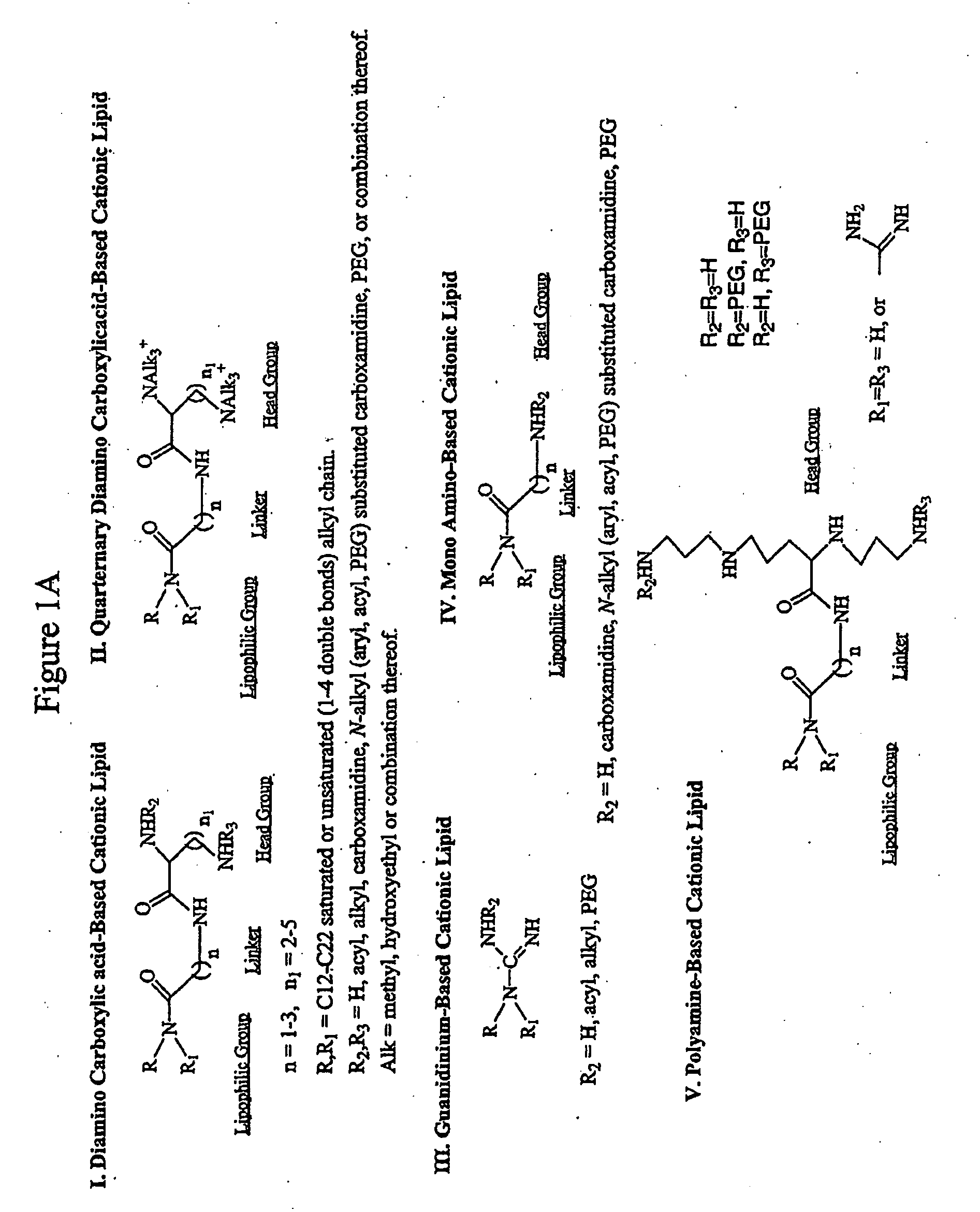 Novel Compositions for the Delivery of Negatively Charged Molecules