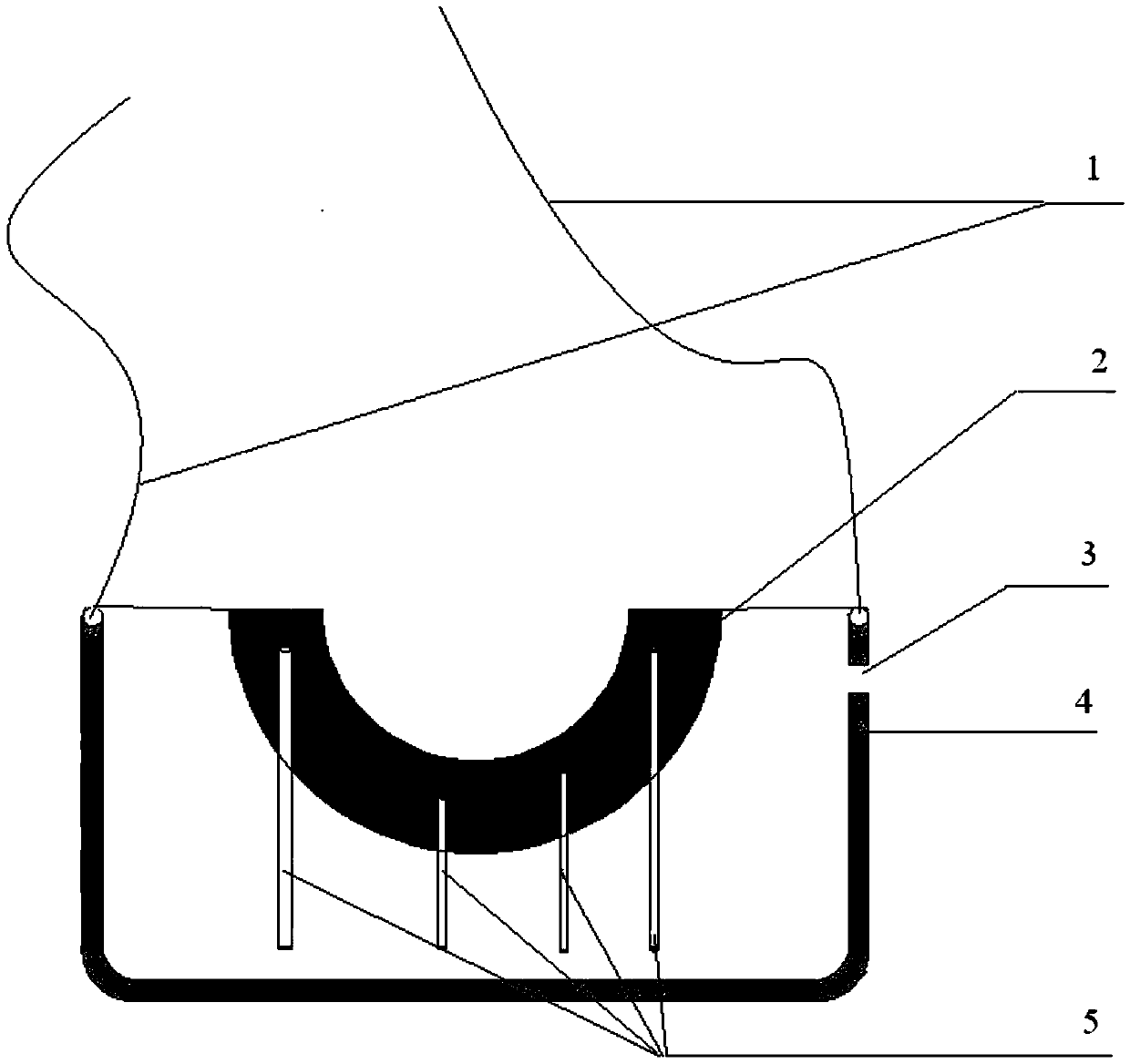 Grape vine induced root directional selenium/zinc supplementing nutrient and application device thereof