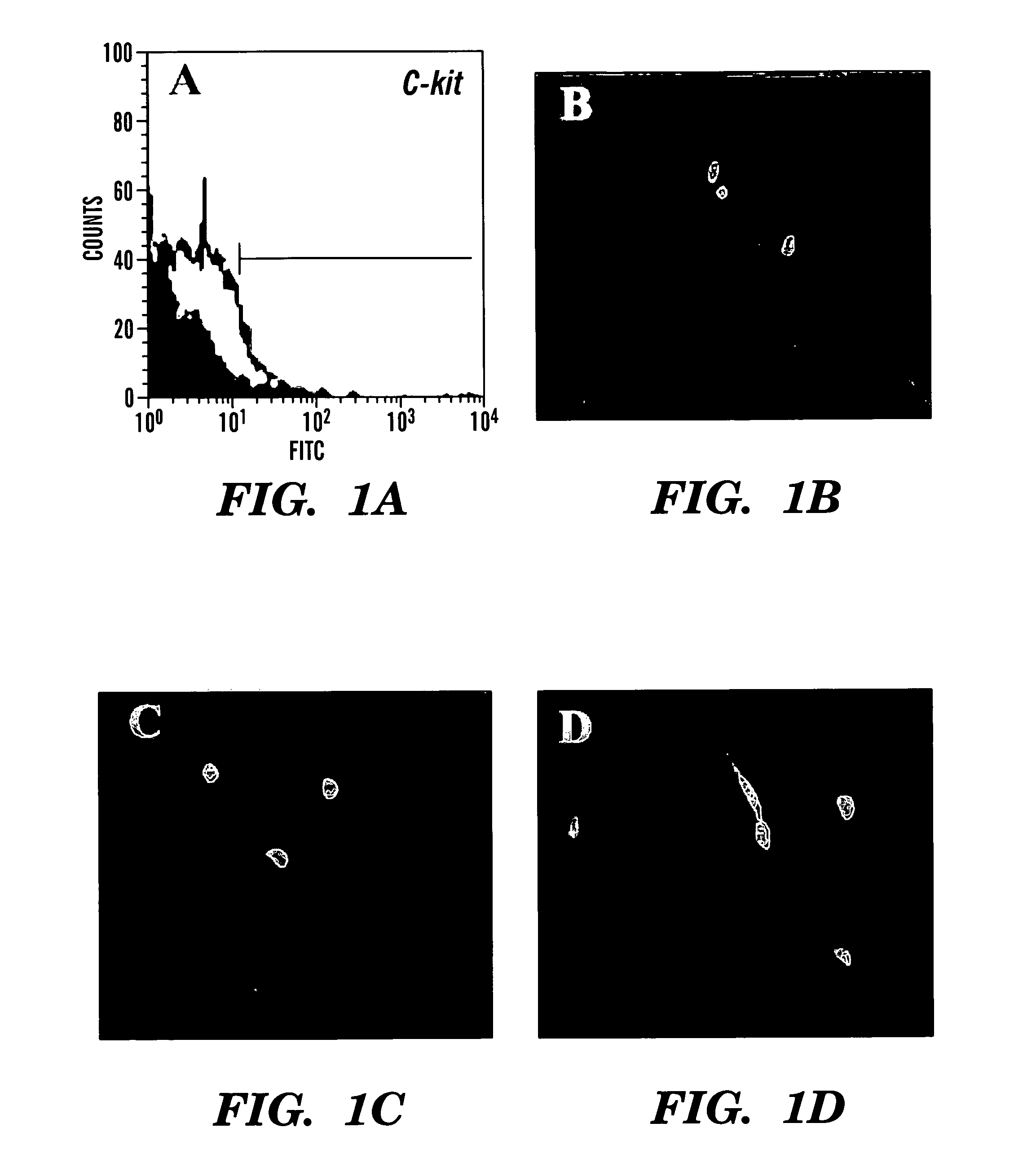 Methods of isolation, expansion and differentiation of fetal stem cells from chorionic villus, amniotic fluid, and placenta and therapeutic uses thereof