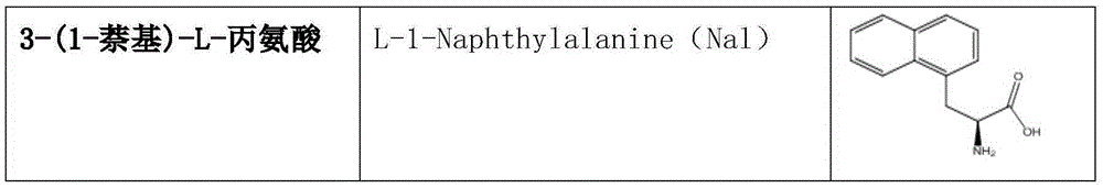 1,2,3-tricarballylic acid coupled EPO peptoid derivative and preparation method and application thereof