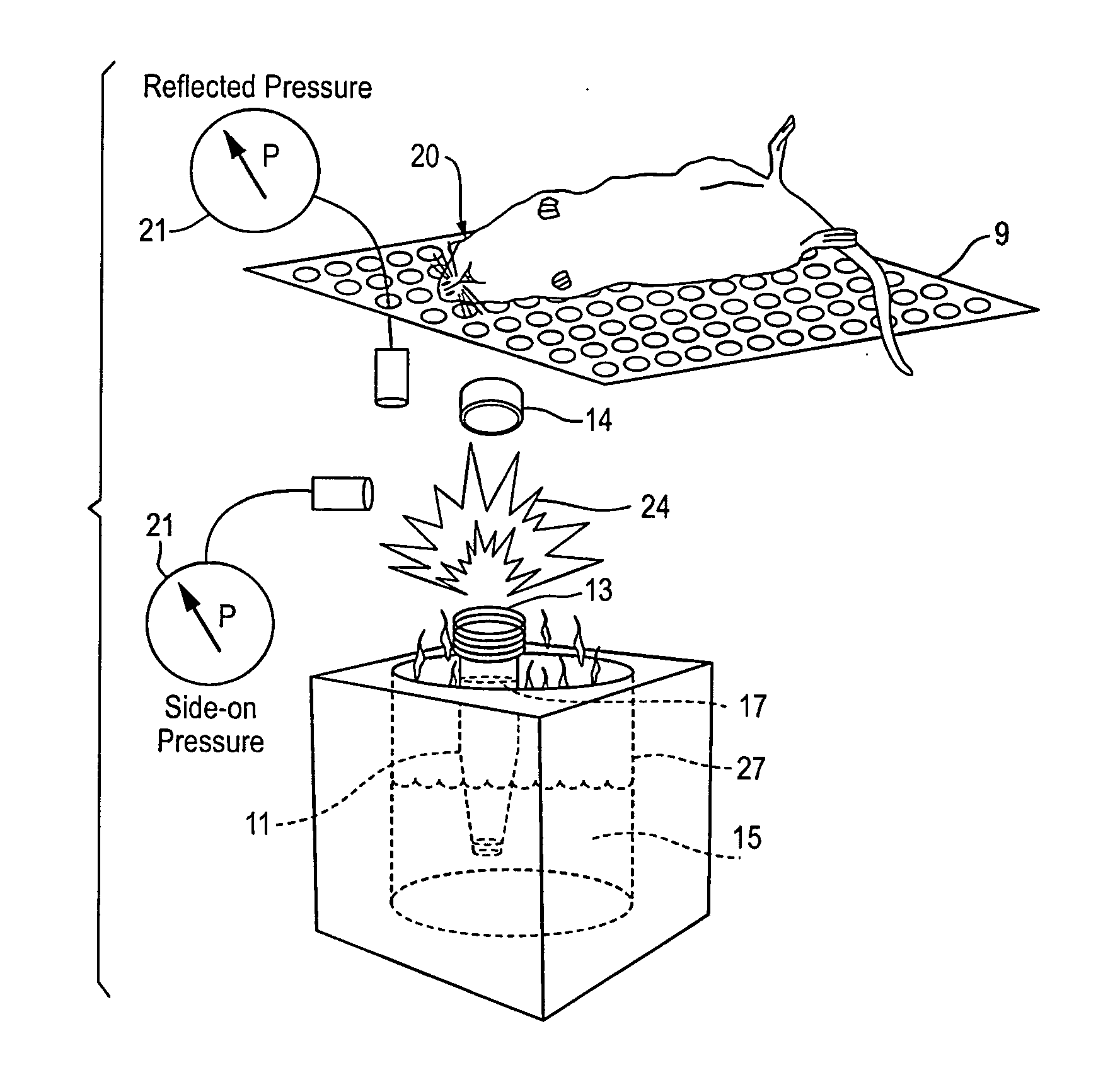 Device and method for inducing brain injury in animal test subjects