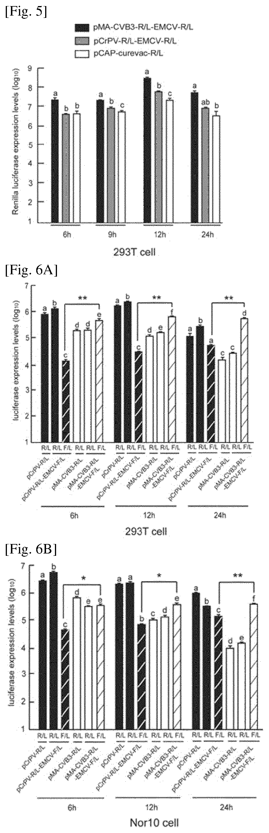 Nucleic acid molecules inserted expression regulation sequences, expression vector comprising nucleic acid moleclues and pharmaceutical use thereof