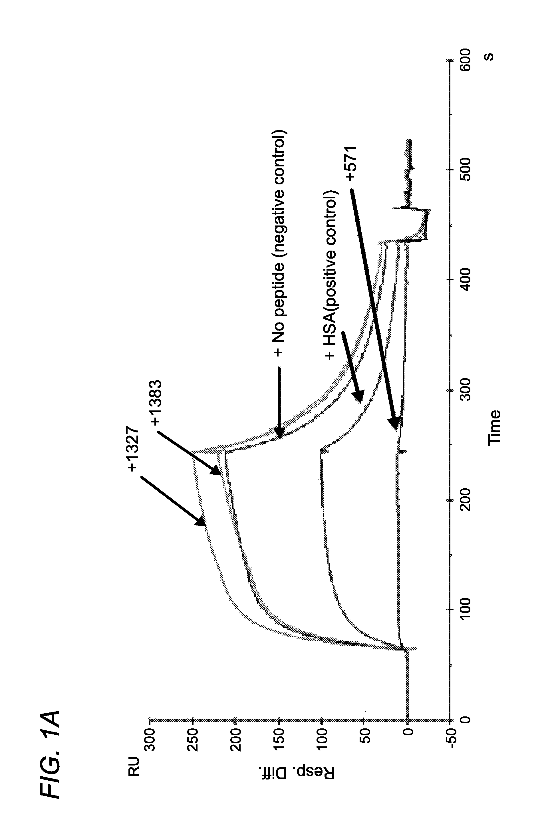 FC receptor (FcRn) binding peptides and uses thereof