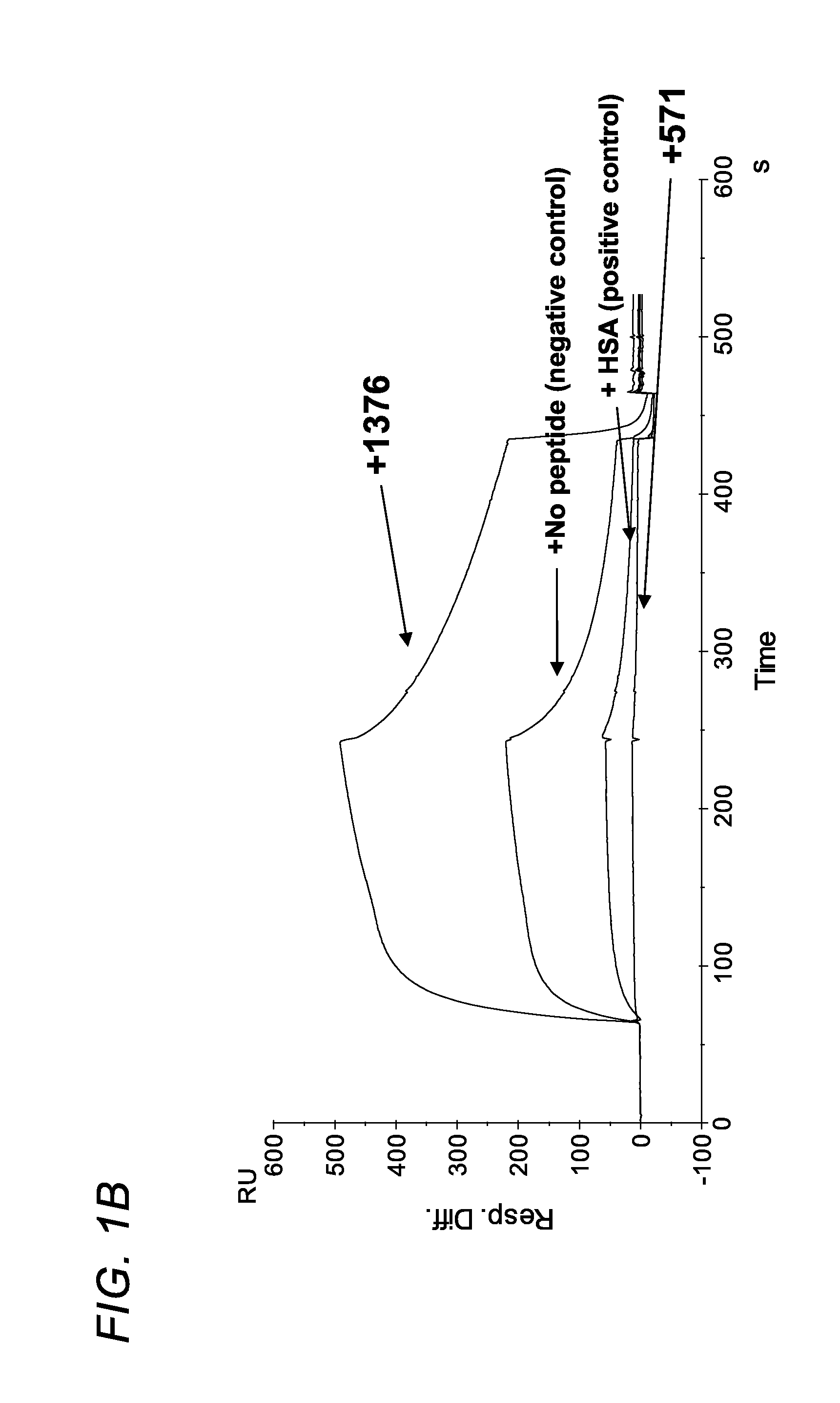 FC receptor (FcRn) binding peptides and uses thereof