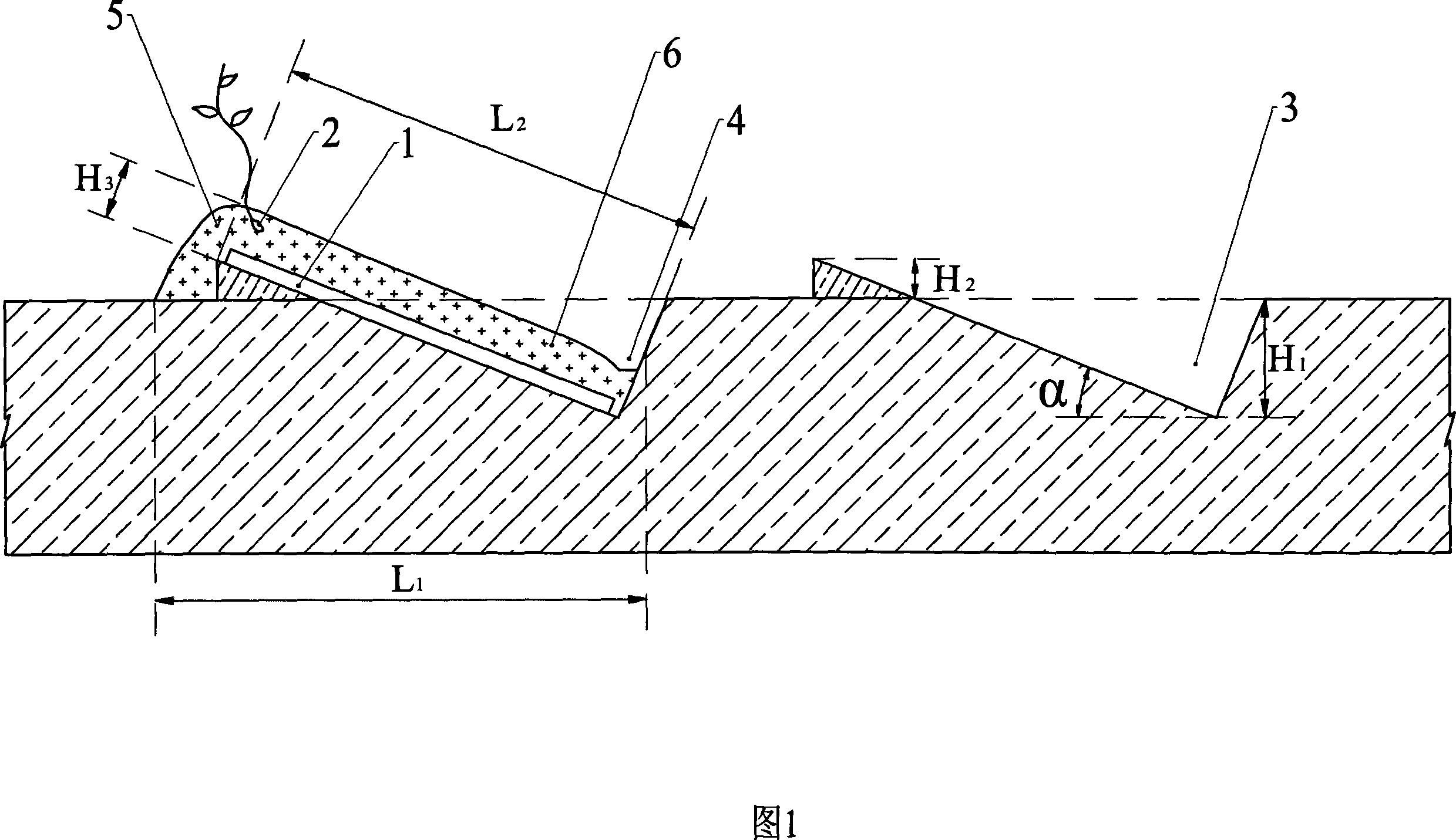 Method for directional tank shallow planting for Chinese yam
