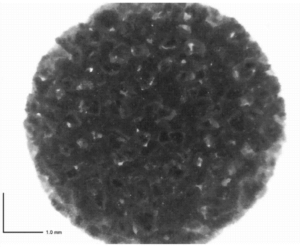 Functionalized mesoporous bioglass porous scaffolds as well as preparation method and application thereof