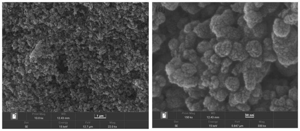 Carbonized polydopamine coated cobalt nanoparticle material and preparation and application methods thereof