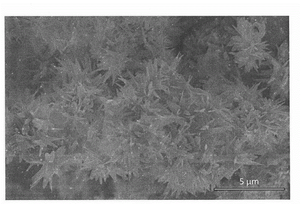 Method for preparing pompon-like copper oxide