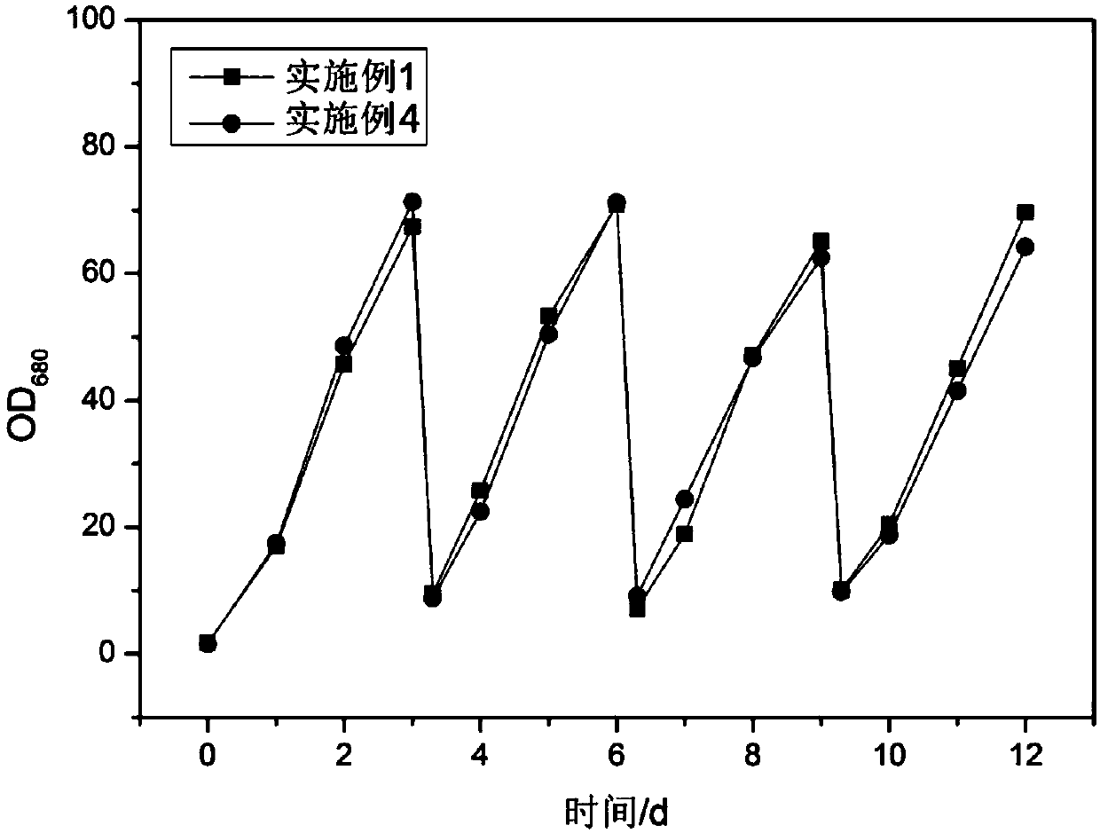 Method for harvesting microalgae and obtaining microalgae biomass