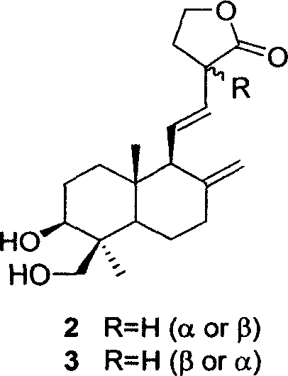 Novel compound separated from camphor tree body and medical component