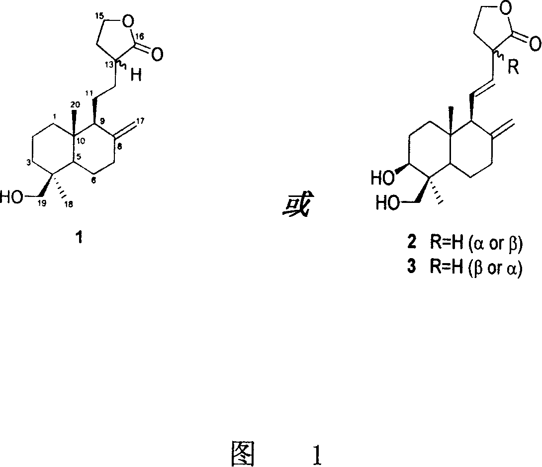 Novel compound separated from camphor tree body and medical component