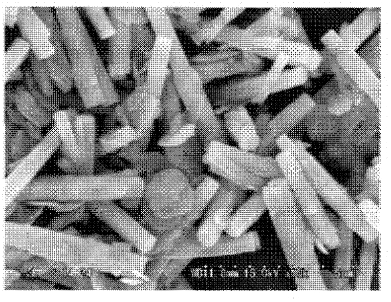 Columnar zinc oxide particles and method for producing same