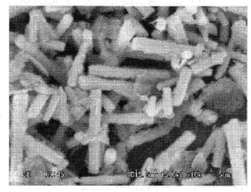 Columnar zinc oxide particles and method for producing same