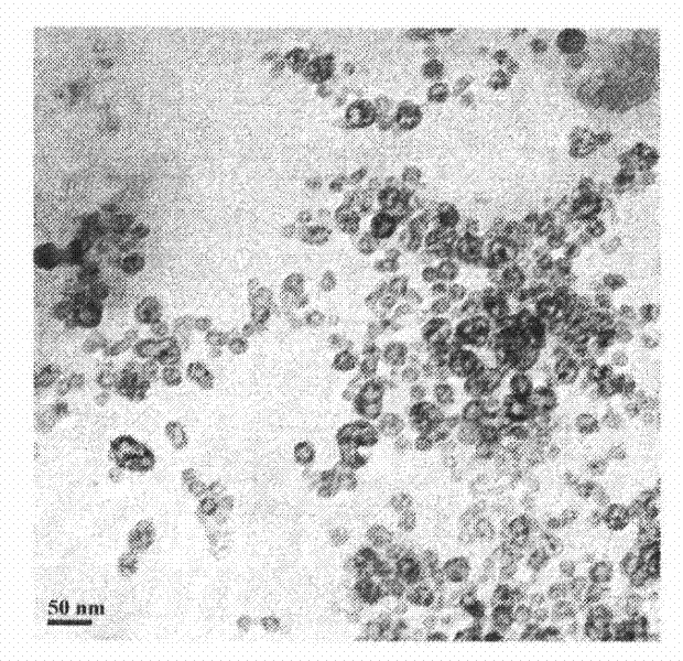 Preparation and application of amphiphilic magnetic palladium-loaded nano-ferric oxide and emulsion thereof