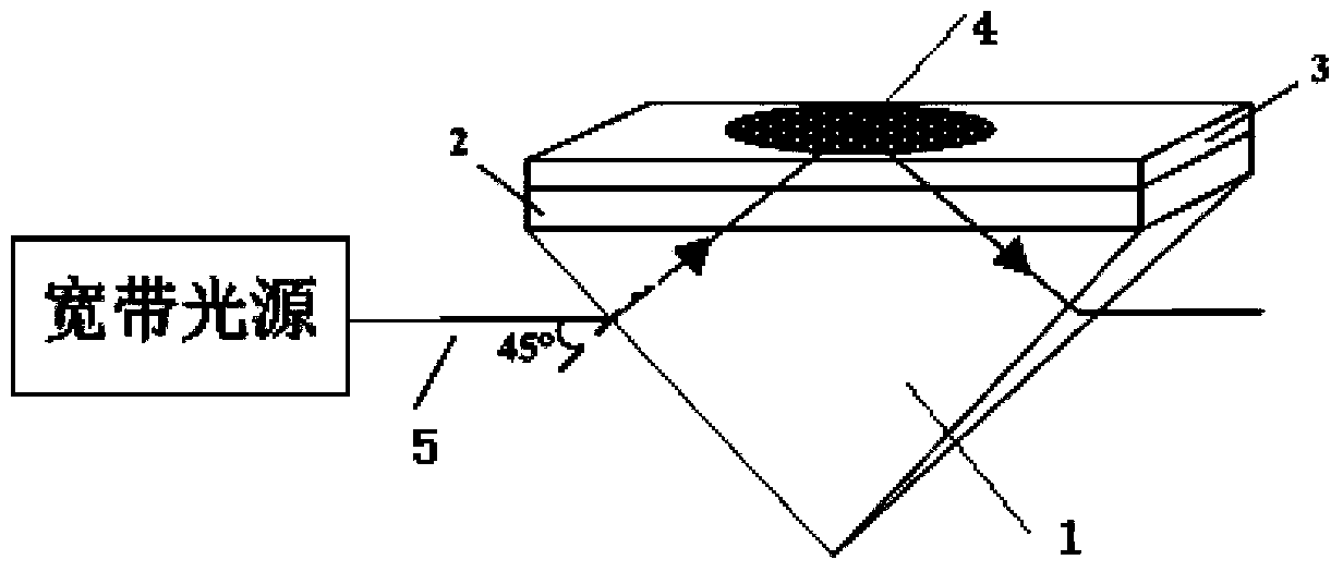 Device and method for generating surface plasma wave