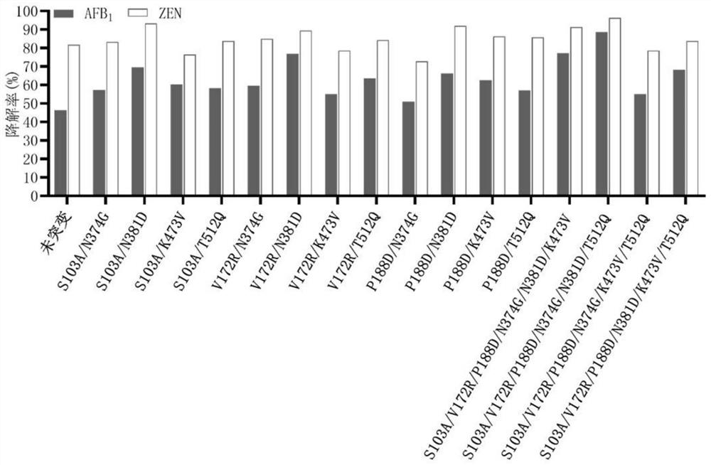 Construction method and application of mutant of fusion enzyme capable of simultaneously degrading aflatoxin B1 and zearalenone