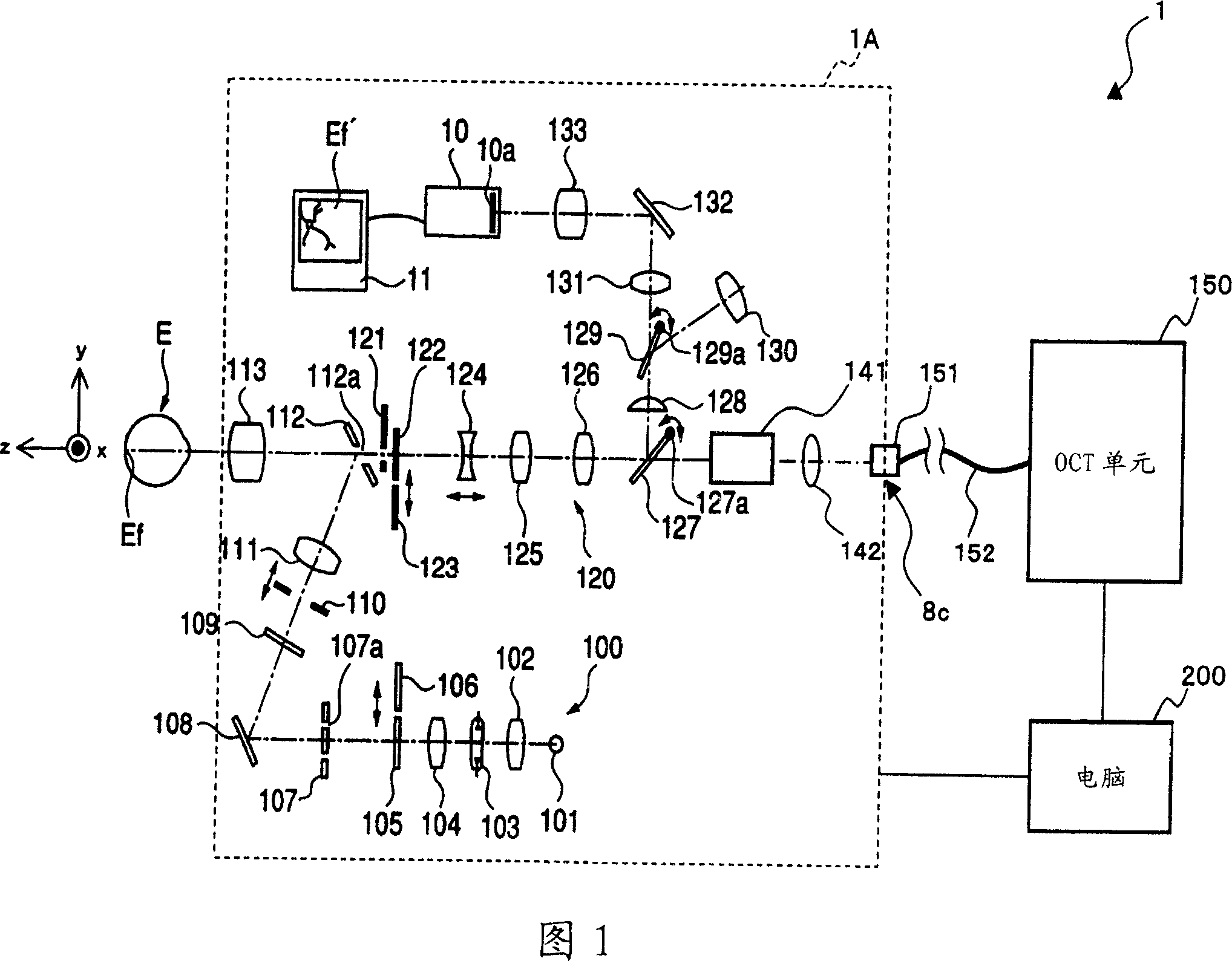 Fundus observation device, fundus image display device and memory media for fundus observation program