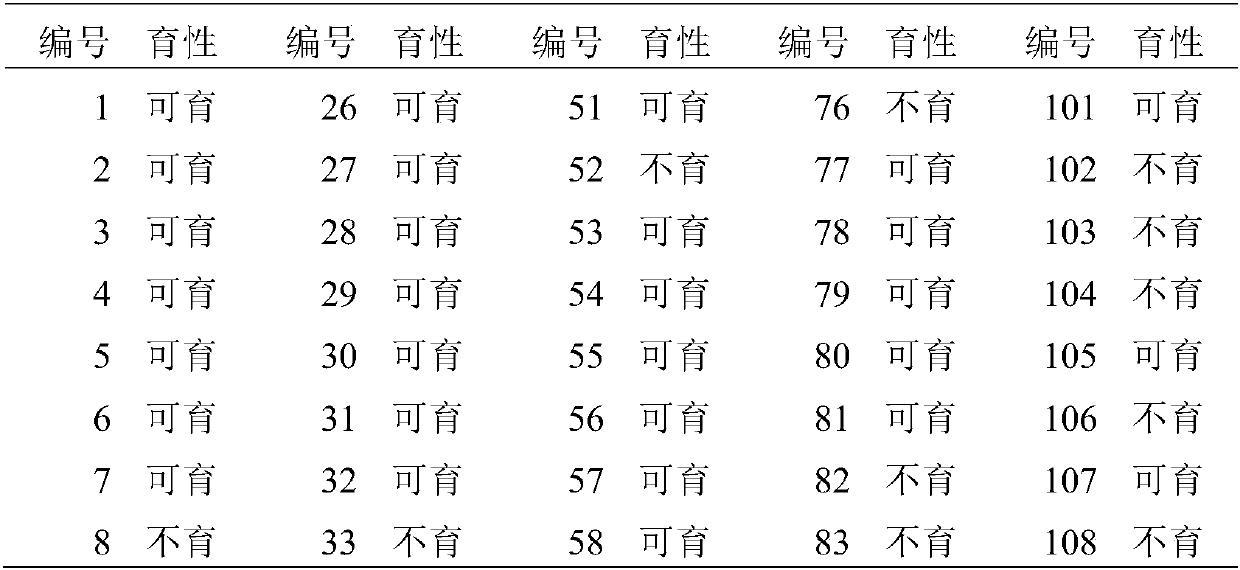 Method for simultaneously selecting and breeding pepper male sterile line and homozygous restorer gene line by using recovery gene linkage marker