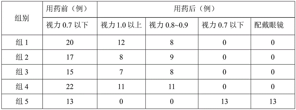 Traditional Chinese medicine composition and traditional Chinese medicine preparation for improving eyesight and preparation method thereof