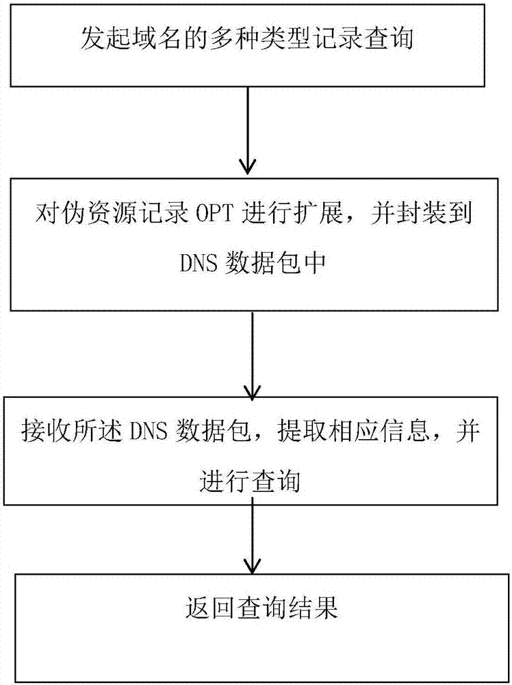 Method and system for supporting multi-domain-name record query based on pseudo resource record OPT extension