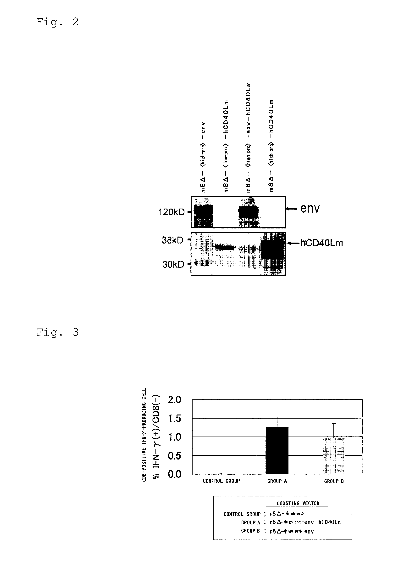 Virus vector for prime/boost vaccines, which comprises vaccinia virus vector and sendai virus vector