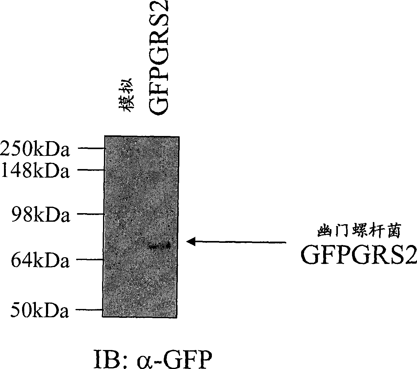 A screening method for identifying new drugs