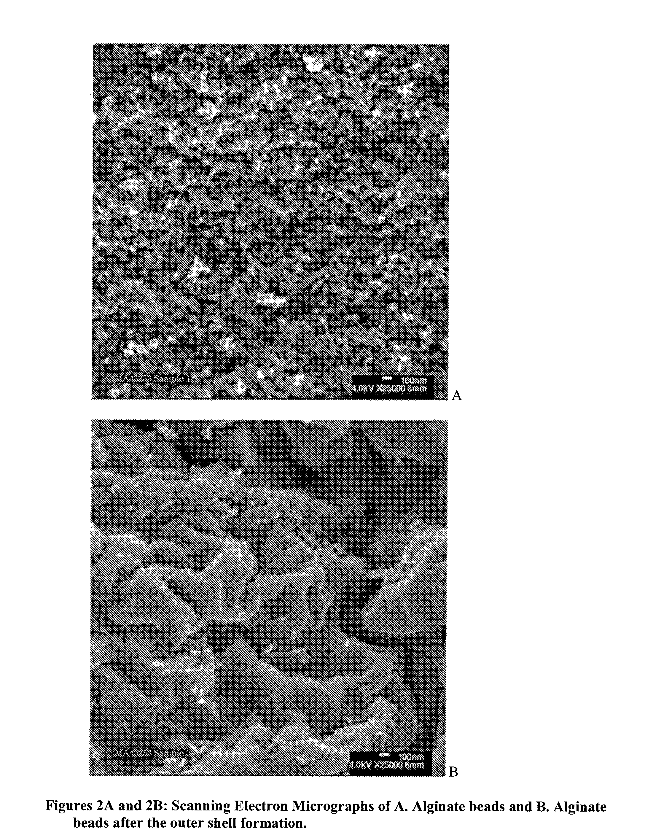 Multilayered polyelectrolyte-based capsules for cell encapsulation and delivery of therapeutic compositions
