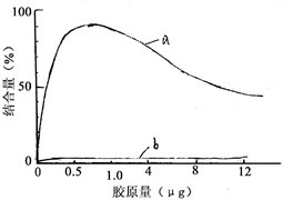 Method for preparing donkey skin collagens