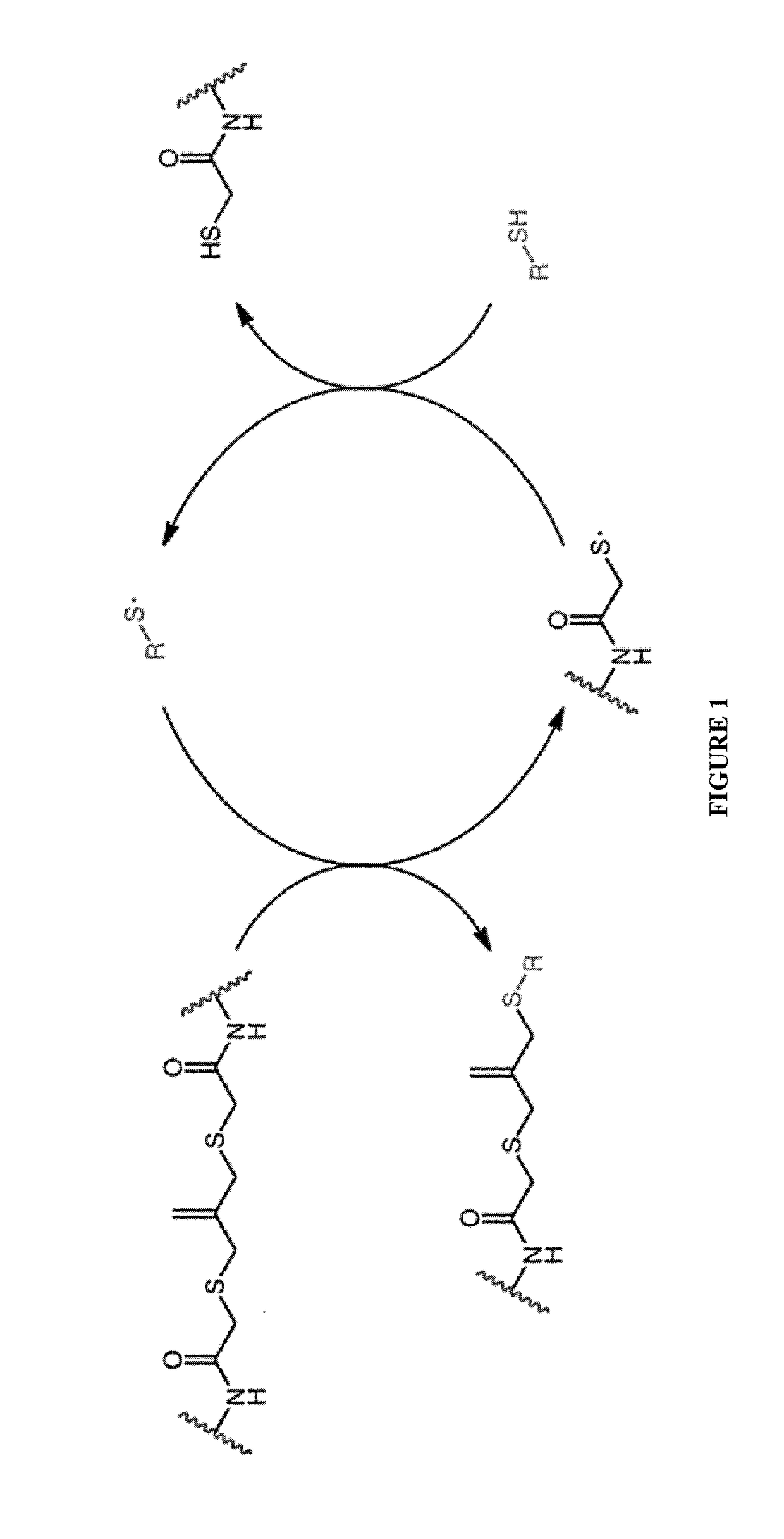 Amplified Photodegradation of Hydrogels and Methods of Producing the Same