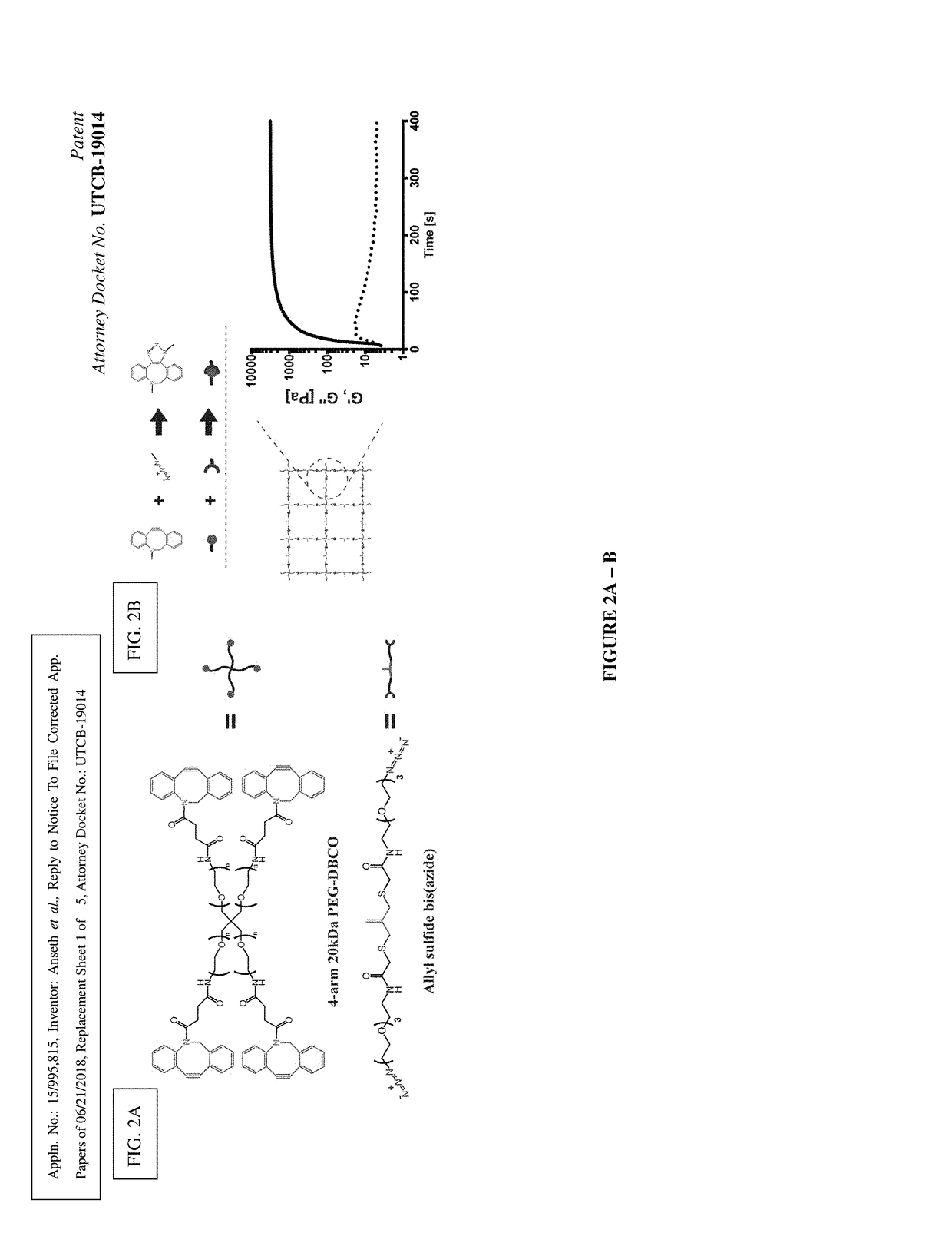 Amplified Photodegradation of Hydrogels and Methods of Producing the Same
